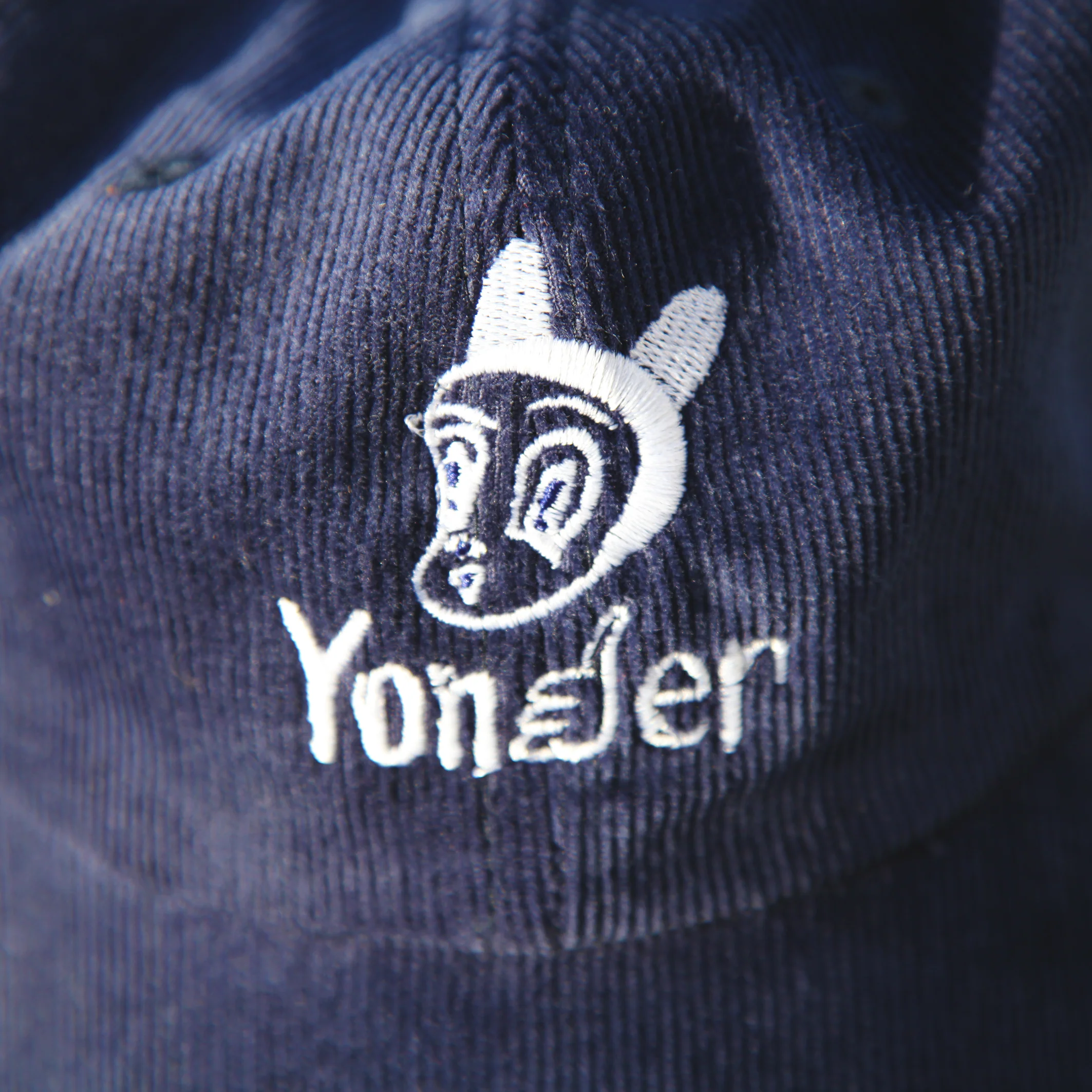 Yonder Corduroy Cap - Image 9
